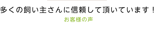 お客様の声