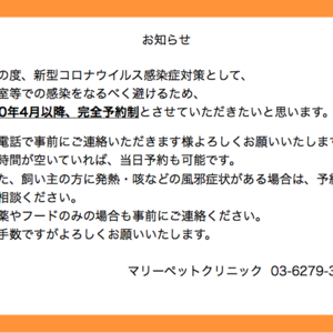 診療体制について